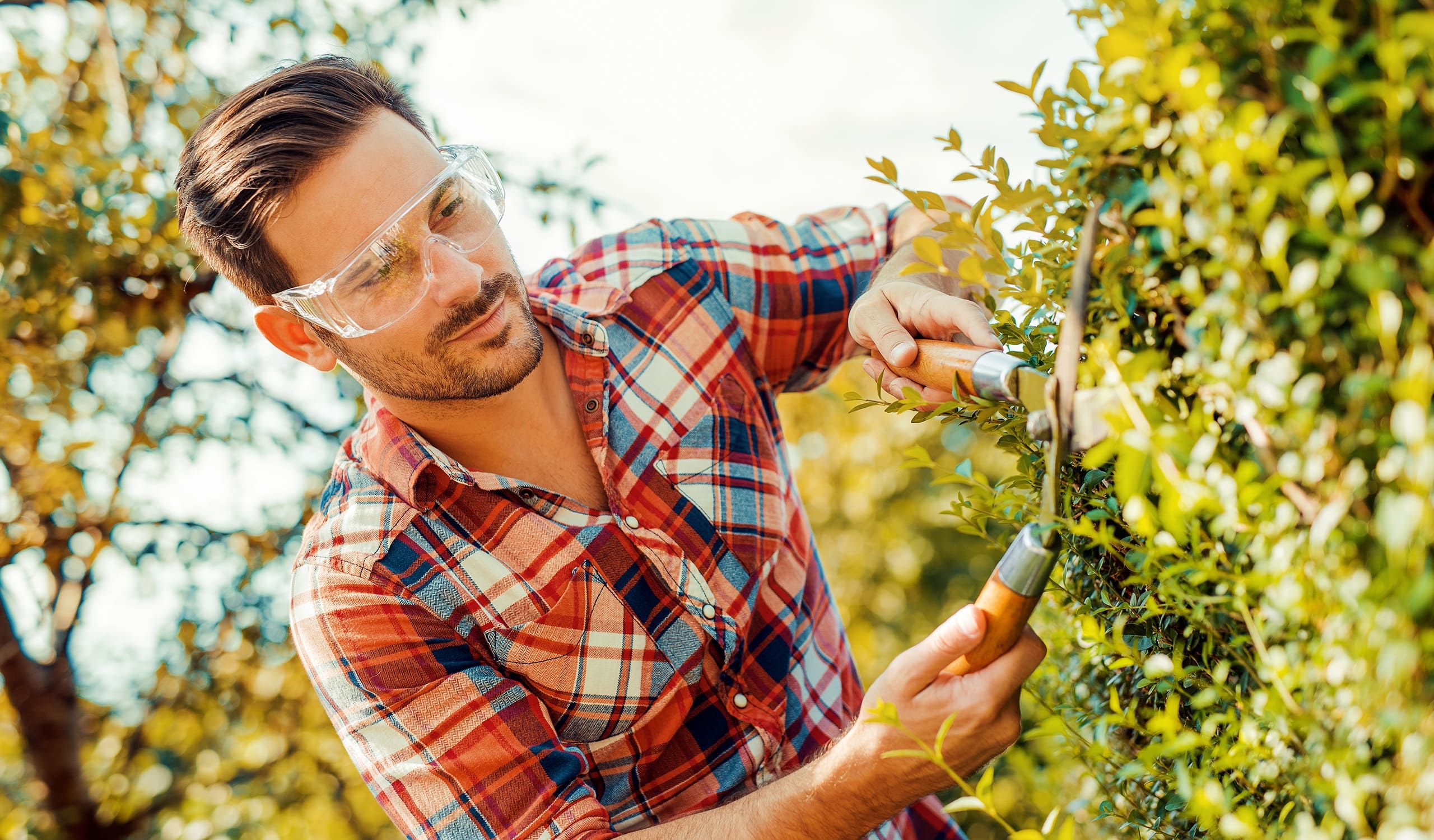 Jardinage à Cannes, Le Cannet, La Bocca et Mandelieu - Lérins Services