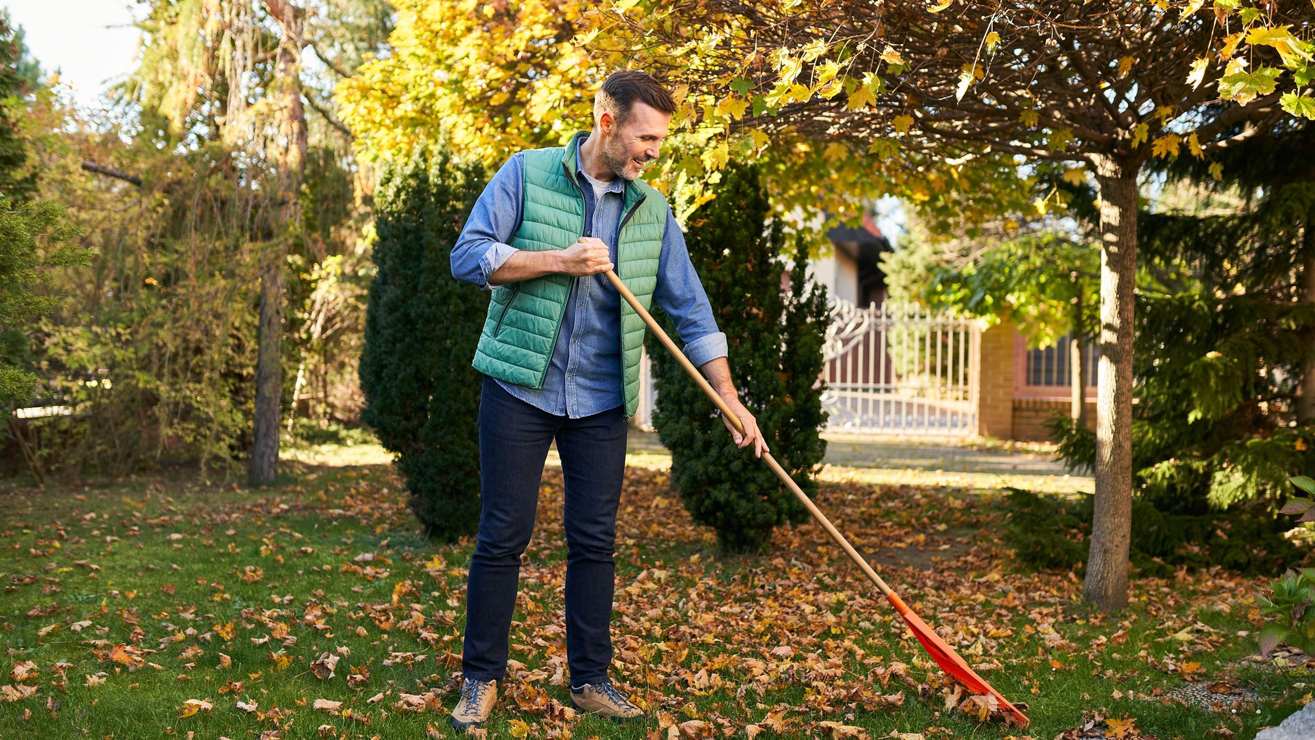 Services de jardinage à Cannes et en pays de lérins