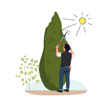 Jardinier à Cannes Mougins Le Cannet Mandelieu